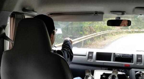 0-4 ������.jpg