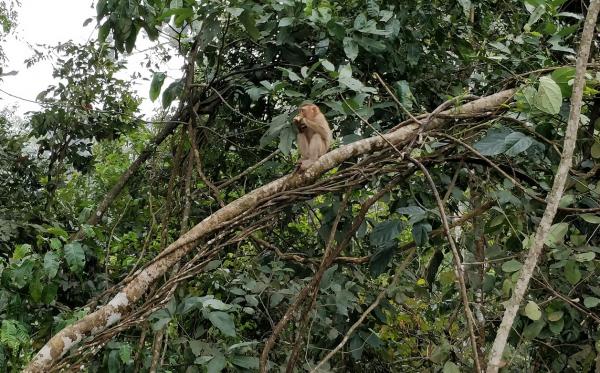 0-9-1 ͣ�����ĺ���.jpg