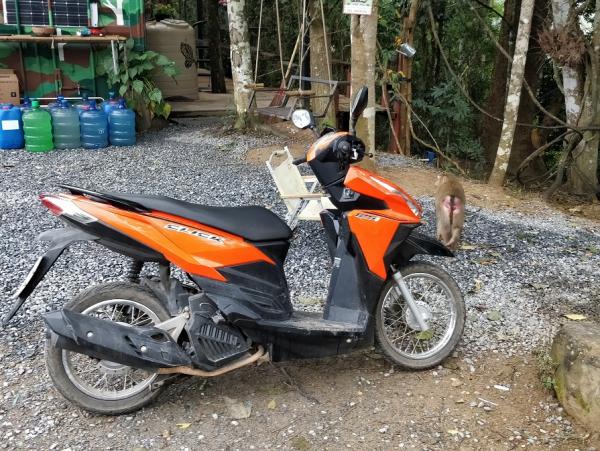 0-9-2 ������Ħ��.jpg