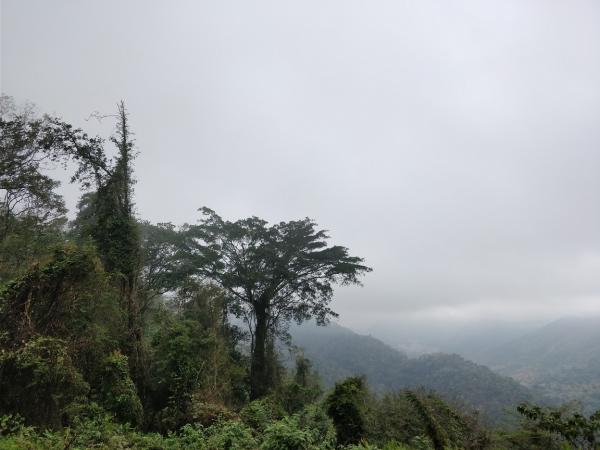 1-1 ���羰.jpg