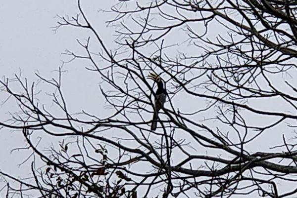 1-2-2 �ֻ�ץ��Ϭ��.jpg