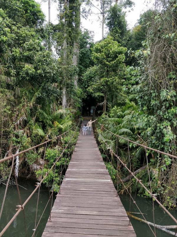 2-4-1 ����.jpg