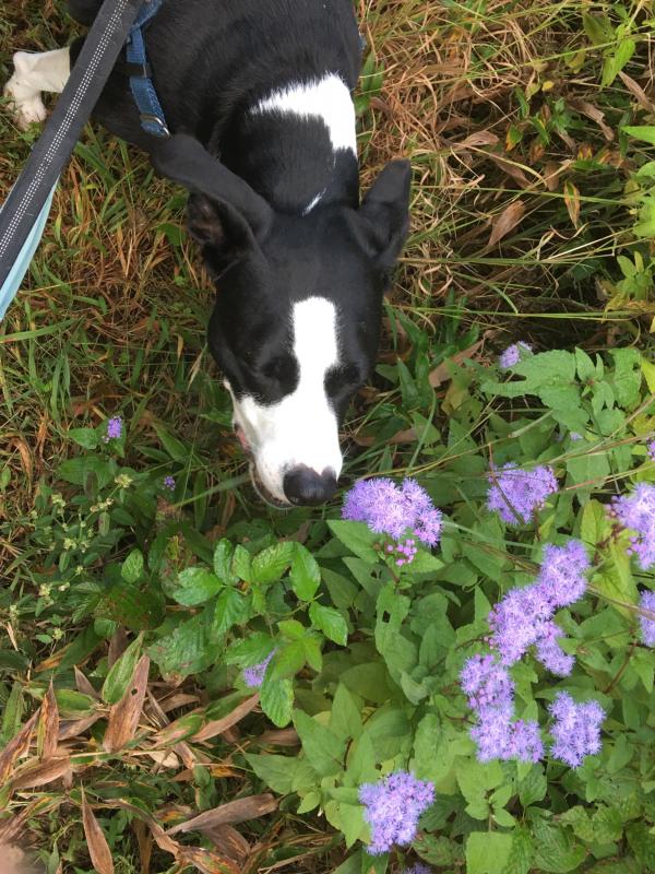 IMG_E9254 (Custom).JPG