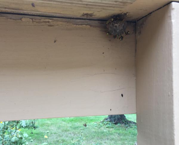 900 ������IMG_7737.JPG