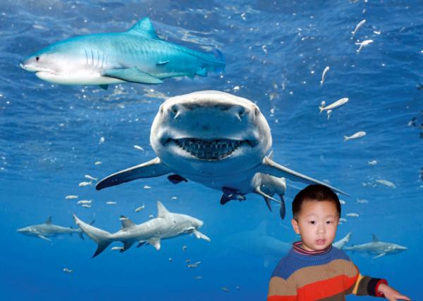 2007-01-13_Shark Realm @ Adventure Aquarium0001.JPG