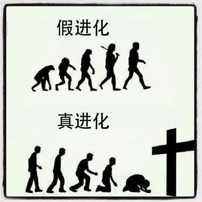 False and True Evolution中文.jpg