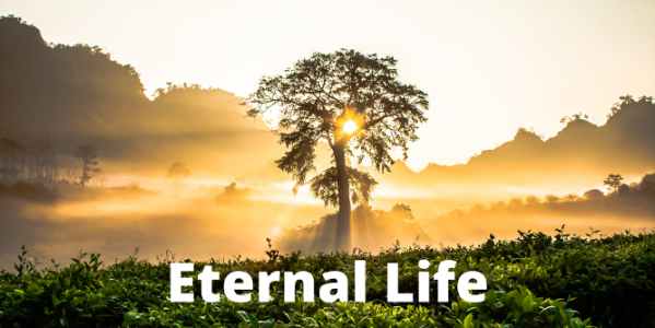 Eternal-Life.png