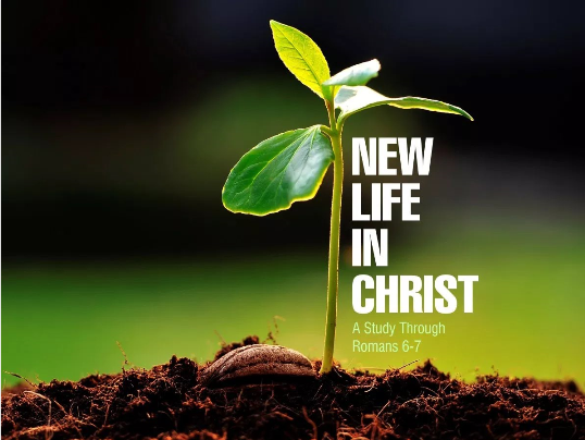 New Life in Christsml.png
