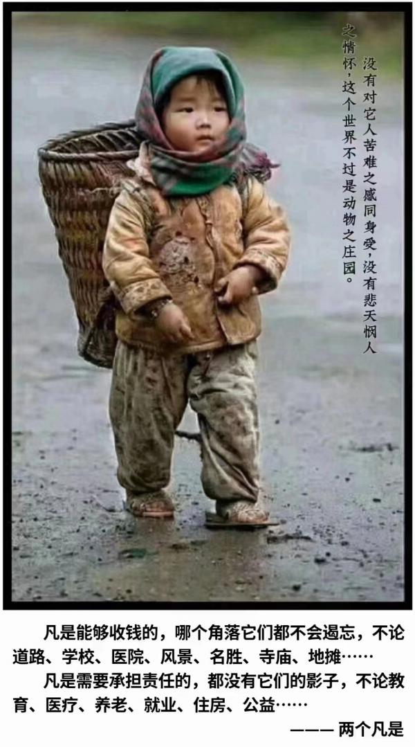 1680269896167549.jpg 033115.jpg