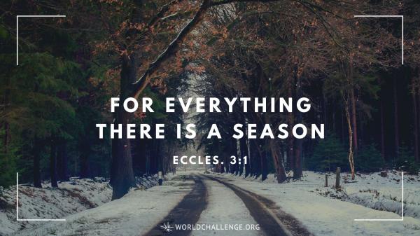 ecc 3 everything has season.jpg