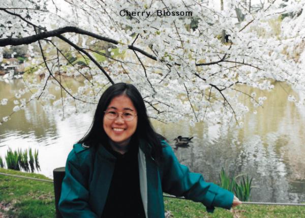 1998-04-08_Brooklyn_Japanese Hill-and-Pond Garden_Cherry Blossom0001.JPG
