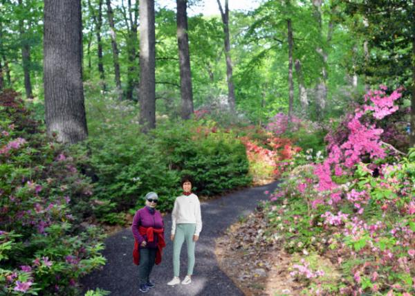 2020-05-20_Trail @ Jenkins Arboretum & Gardens-30001.JPG