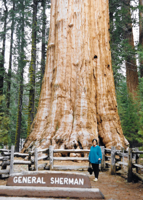 1995-06-05_Sequoia National Park0001.JPG