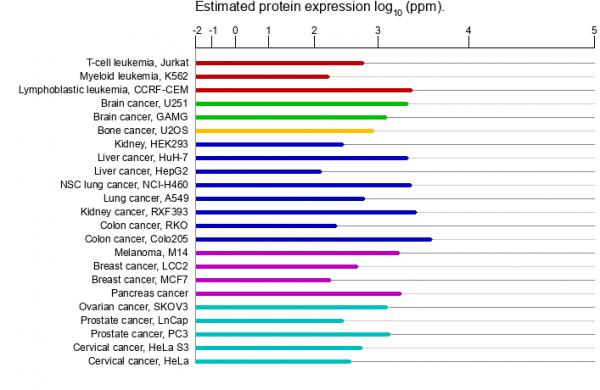 protein_expression_MYH9_GCs.png