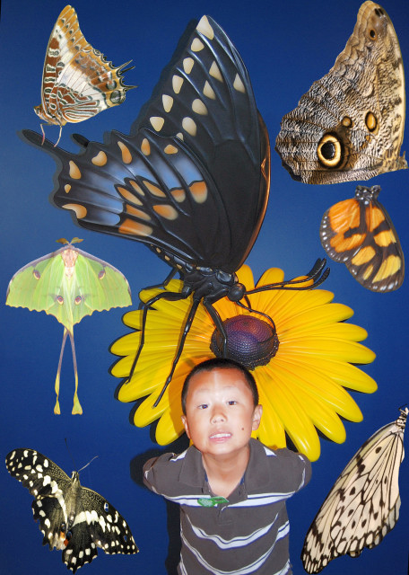2009-08-31_Butterfly Exhibition0001.JPG