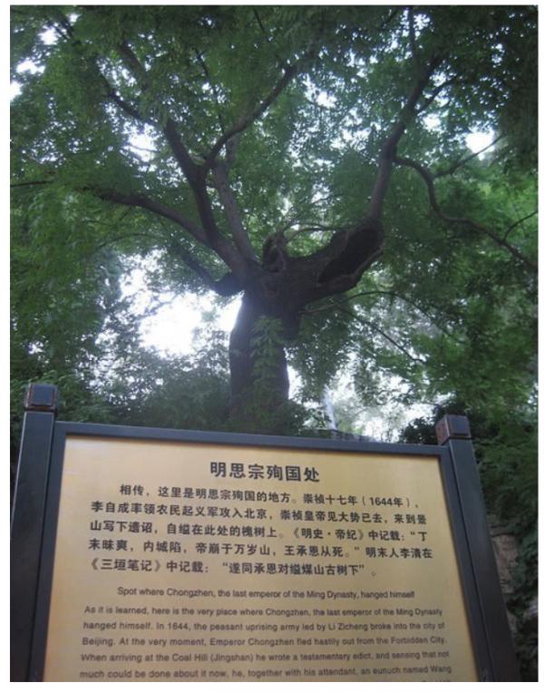 1697513578229149.png image.png