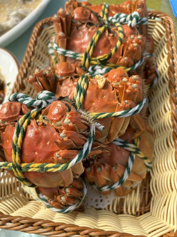 ���κ���բз  �Ϻ����� 10-31-2023.jpg