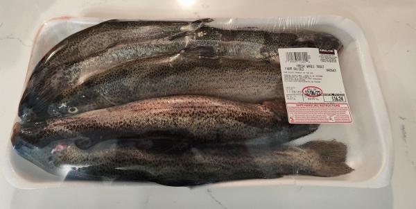 1 Rainbow Trout.jpg