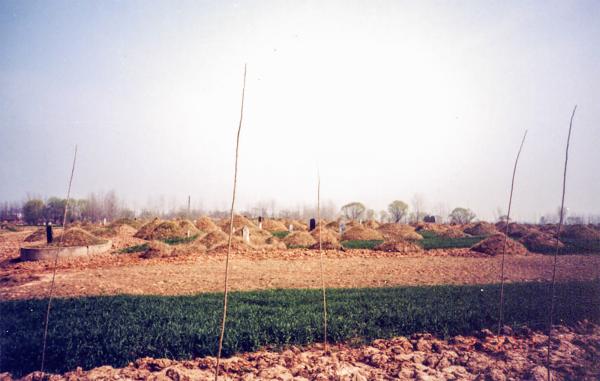 2002年前后，河南某村的坟场（高耀洁提供）.jpg