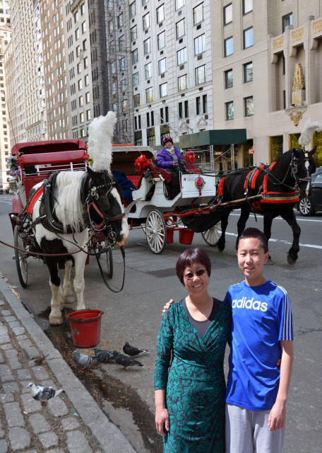 2016-04-30_Carriages @ 59th St-10001.JPG