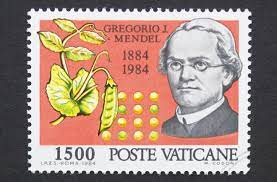 Gregor Mendel-1822-84-8.jpg