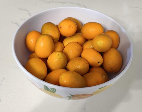 1 Kumquat-金桔.jpg