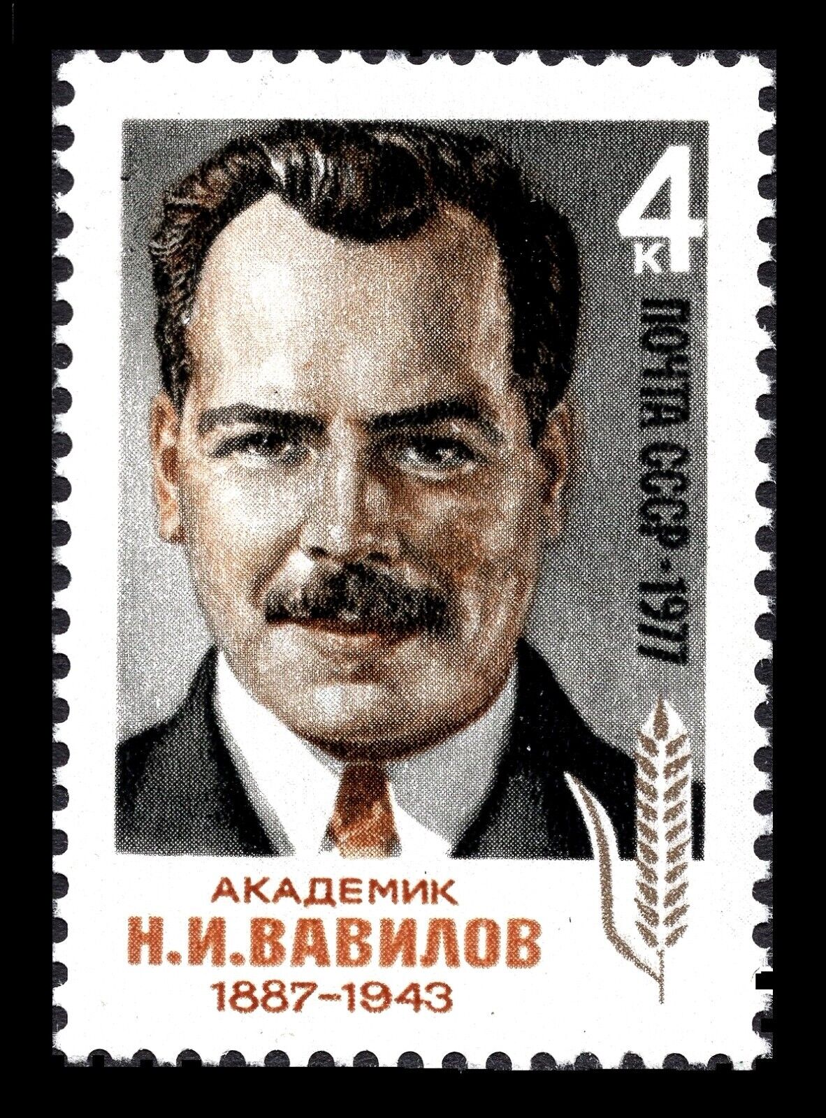 USSR RUSSIA 1977 * Vavilov * Soviet Botanist & Geneticist * STAMP * MNH - Picture 1 of 1