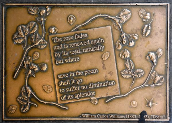 2024-04-27_Plague_06_William Carlos Williams0001.JPG