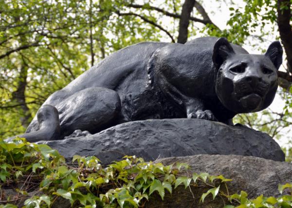 2024-04-27_Statue_Still Hunt Perched on a Rock Outcrop in Depicting an American Panther in a Low Crouch_ Ready to Pounce-20001.JPG