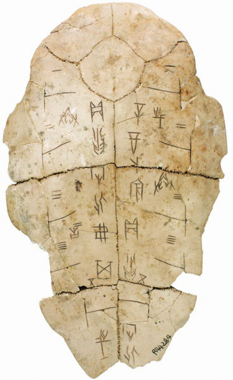 Inscribed Plastron Ping 0069