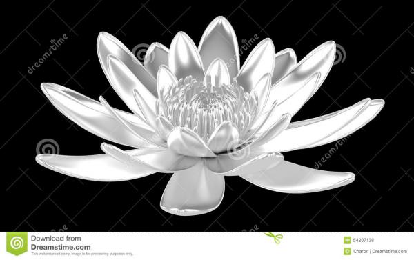 silver-lotus-flower-water-lily-isolated-blooming-chromed-pure-black-background-metaphor-purity-peaceful-mind-calm-54207138.jpg
