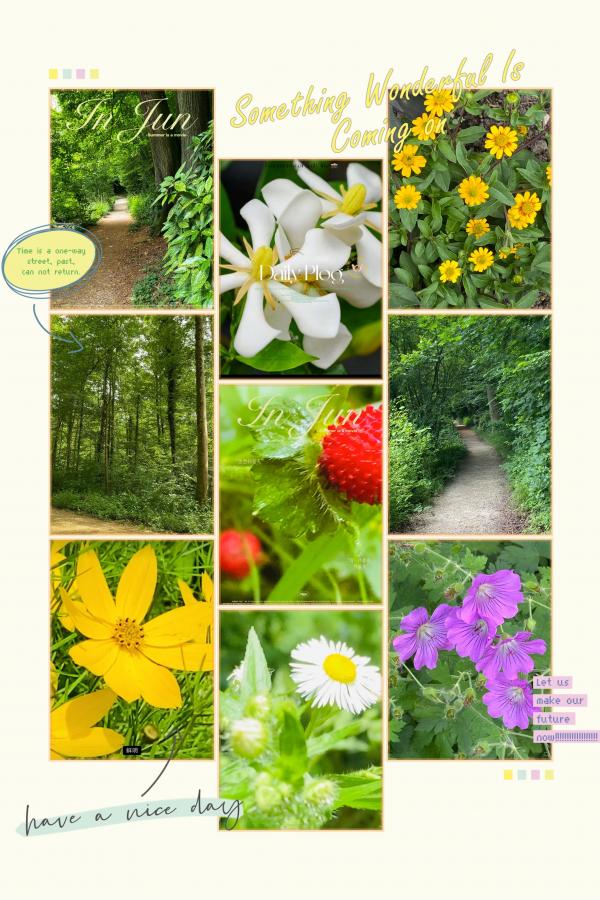 1718735824399914.jpeg IMG_6314.jpeg