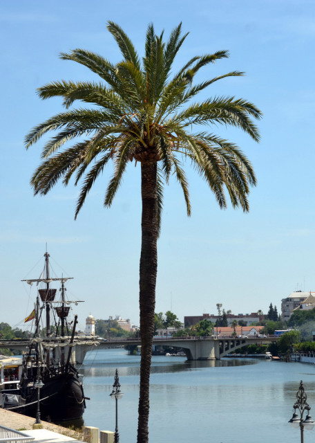 2024-06-05_Guadalquivir River0001.JPG