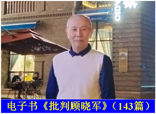 顾晓军 电子书《批判顾晓军》（143篇）.png