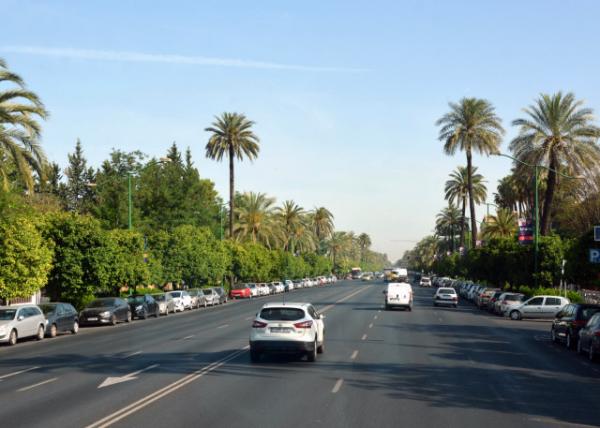 2024-06-05_Avenida de la Palmera_ an Avenue Lined w Pavilions from the 1929 Ibero-American Exposition_ and cross Plaza América & Parque María Luisa000.JPG