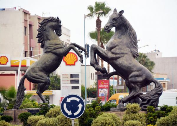 2024-06-06_13_Sculpture_To the Glory of the Camargue Horses0001.JPG