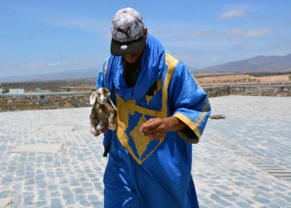 2024-06-07_24_Kasbah of Agadir Oufla_Man in Traditional Blue Berber Garb Holding Baby Nubian Doeling0001.JPG