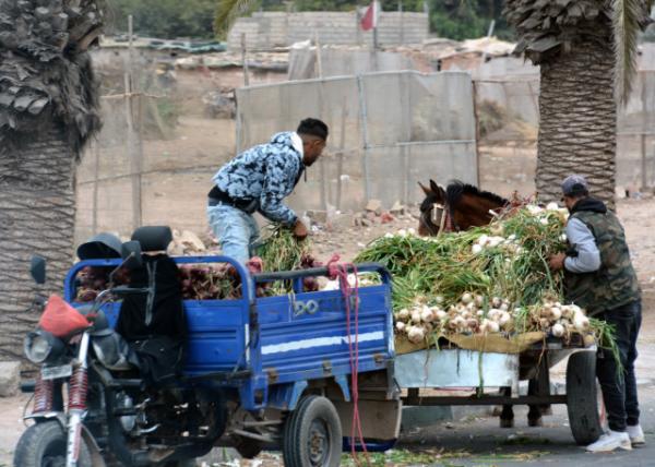 2024-06-07_49_Vendor_Garlic Merchant0001.JPG