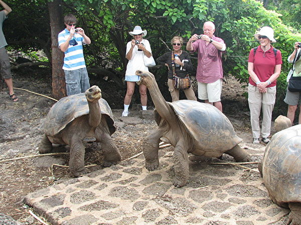 800px-GalapagosTortoiseTourists-1-600x450.jpg