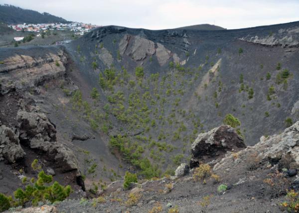 2024-06-10_05_View from the Rim of Volcano San Juan into the Caldera & Its Pine Forest in the Background Los Canarios Fue0001.JPG