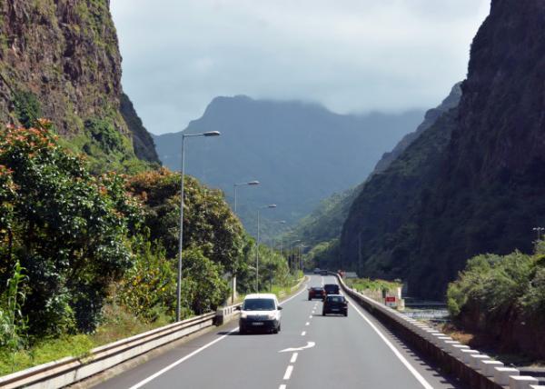 2024-06-11_68__Art of Nature_ a Cinematic Exploration of Madeira Fanal Forest001.JPG