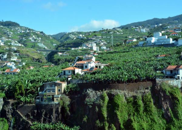 2024-06-11_37_Construction & Agriculture on Terraces-20001.JPG