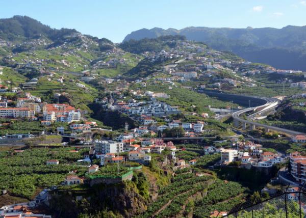 2024-06-11_49_Up in the Hills of Camara De Lobos0001.JPG