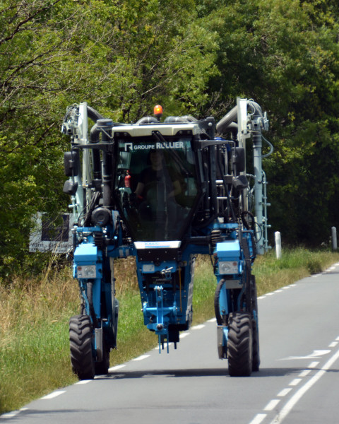 2024-06-17_11_Bobard Tractor for Narrow Vineyards0001.JPG