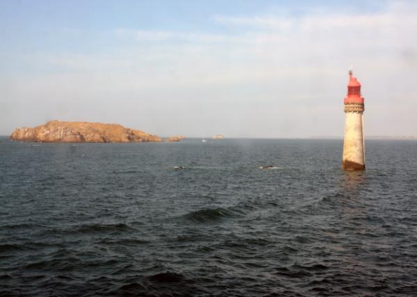 2024-06-20_23_Grand Jardin Lighthouse Located in the Saint-Malo Pass off the Rance Estuary on the English Channel0001.JPG