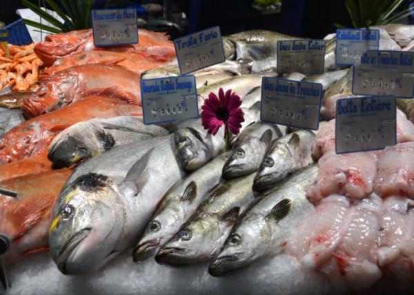 2024-06-21_95_Poissonnerie des Halles_Seafood Marketplace0001.JPG