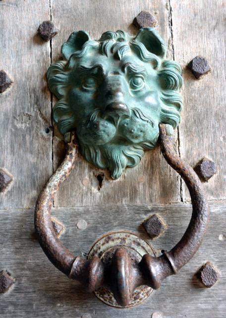 2024-06-22_44_Brass Lion Door Knocker on a Wooden Door0001.JPG