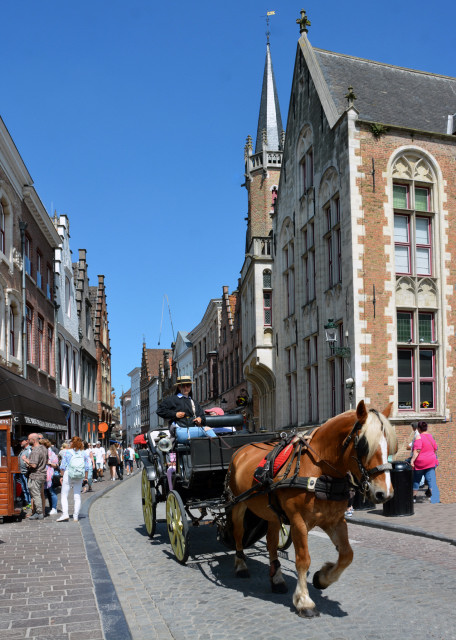 2024-06-23_73_Carriage Riding down Wollestraat0001.JPG