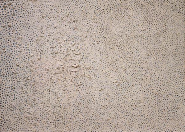 2024-10-19_291_Yayoi Kusama No. F 1959 Oil on Canvas0001.JPG