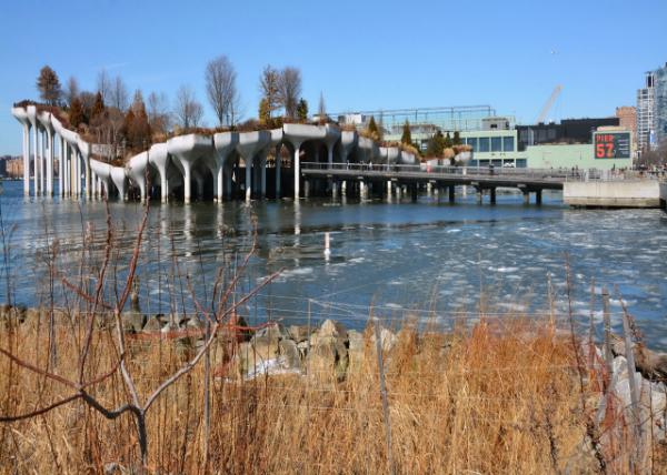 2025-02-22_21_A Leaf w Upturned Edges of Little Island Artificial Island Park in Hudson River0001.JPG